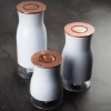 Picture of Snow Metal Covering Glass Spice Set of 3