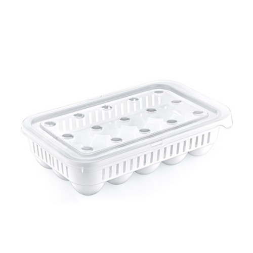 Picture of Grand Egg Storage Container 15 pcs